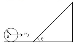 JEE Main 2021 (Online) 25th February Evening Shift Physics - Rotational Motion Question 98 English