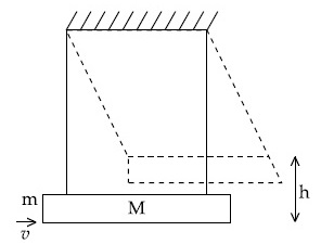 JEE Main 2021 (Online) 16th March Evening Shift Physics - Center of Mass and Collision Question 49 English