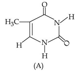 JEE Main 2021 (Online) 27th July Morning Shift Chemistry - Biomolecules Question 79 English