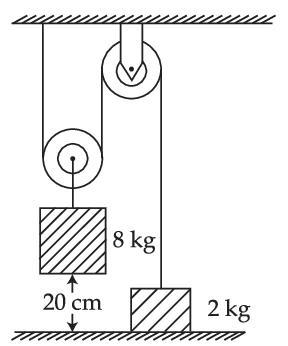 JEE Main 2021 (Online) 27th August Evening Shift Physics - Laws of Motion Question 65 English