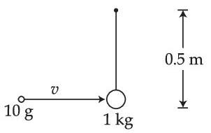 JEE Main 2021 (Online) 27th August Evening Shift Physics - Center of Mass and Collision Question 39 English