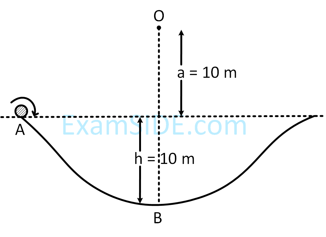 JEE Main 2019 (Online) 12th January Evening Slot Physics - Rotational Motion Question 148 English