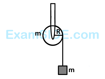 JEE Main 2014 (Offline) Physics - Rotational Motion Question 188 English