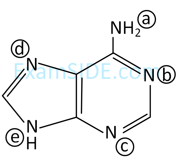 JEE Main 2019 (Online) 11th January Evening Slot Chemistry - Basics of Organic Chemistry Question 174 English