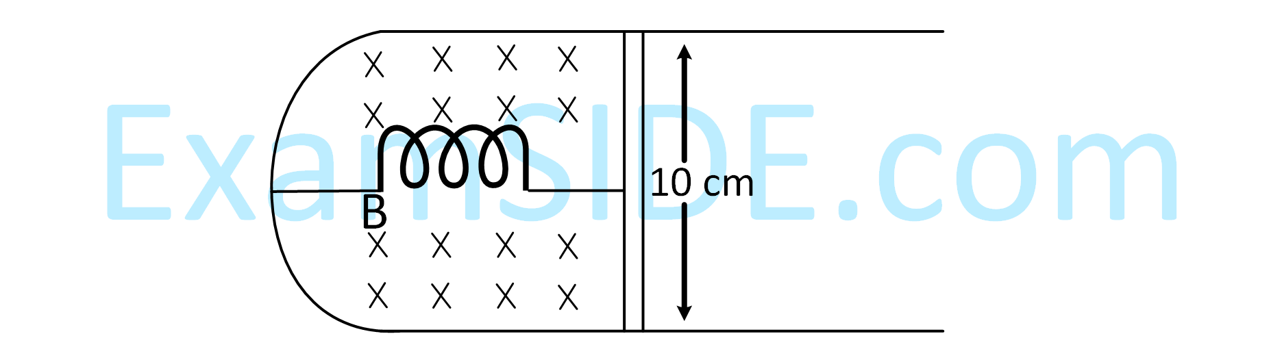 JEE Main 2019 (Online) 8th April Morning Slot Physics - Magnetic Effect of Current Question 137 English